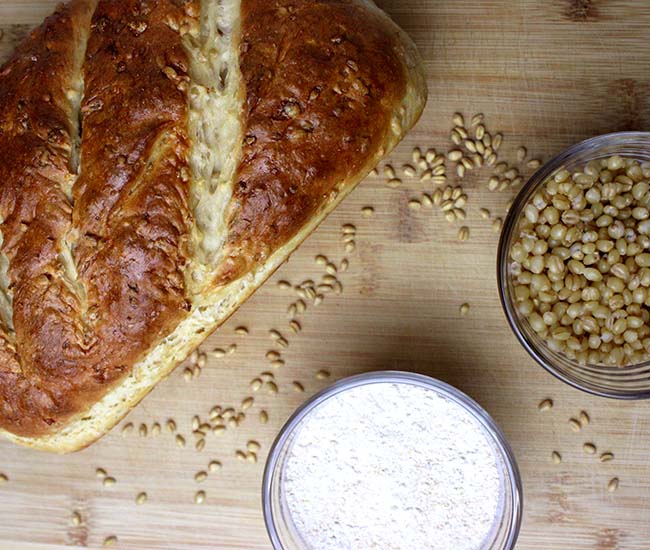 Wheat Berry Bread | Homemade (VIDEO)