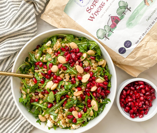 Wheat Berry Pomegranate Salad Recipe | Refreshing + Easy